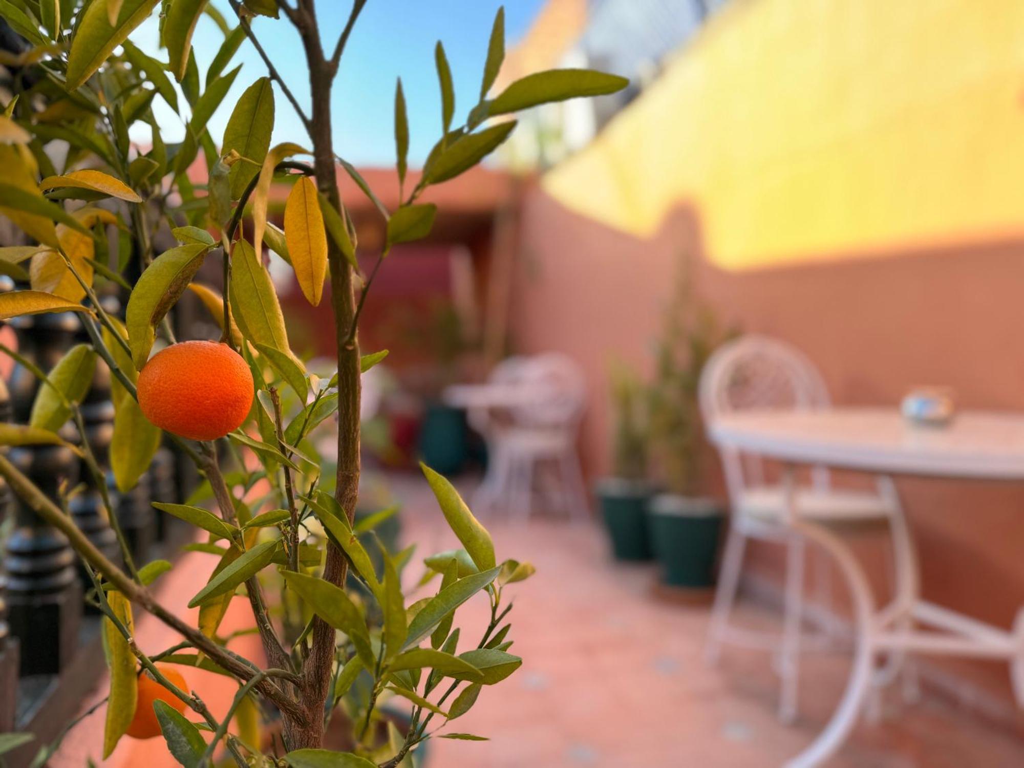Riad Sanwa Marakéš Exteriér fotografie